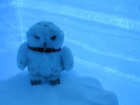 a1fe9041600b866b96b2ebf9d6e5176e--snow-image.jpg